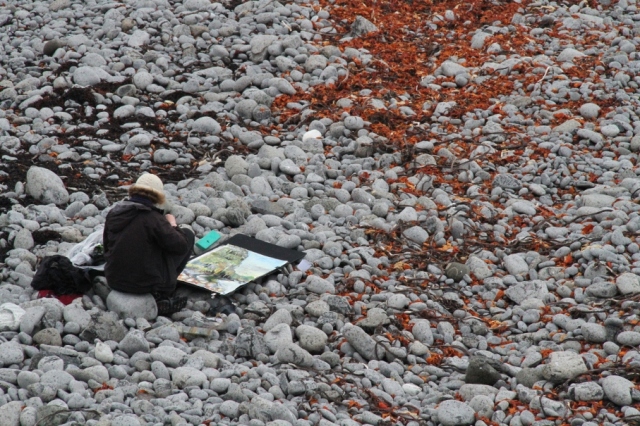 1 Kittie working on the Shiant Islands, photo credit Chris Leakey