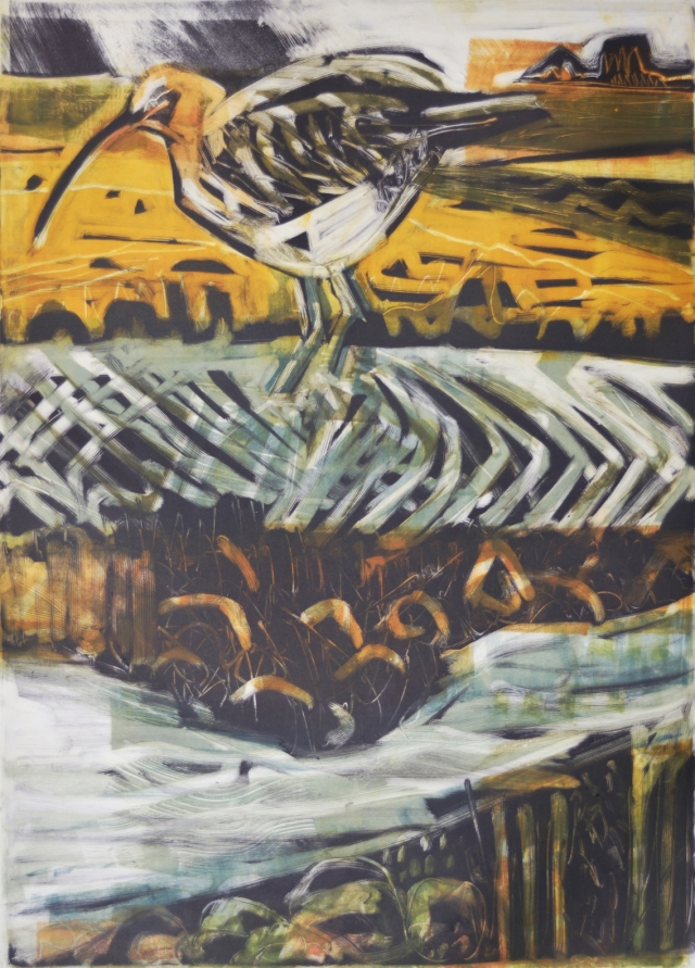 feeding curlew monotype small